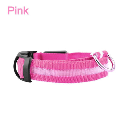 LED Dog Safety Collar – Night Glow